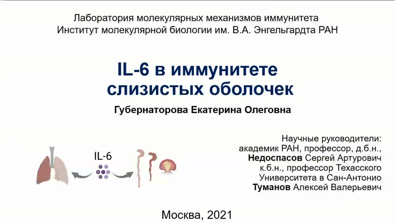 Диссертация дополнительного образования детей